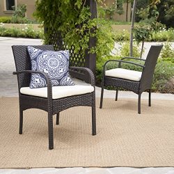 (Set of 2) Carmela Outdoor Multibrown PE Wicker Dining Chairs