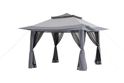 Sunjoy 11′ x 11′ Pop-Up Canopy with Carrying Bag, Gray