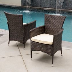 Clementine Outdoor Multibrown PE Wicker Dining Chairs (Set of 2)