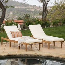 (Set of 2) Paolo Outdoor Teak Brown Wood Chaise Lounge with Cushion