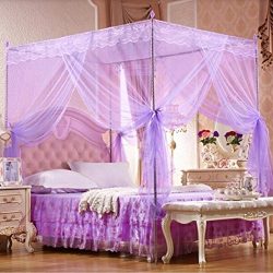 Little rock Romantic Princess Lace Canopy Mosquito Net Twin Full Queen King Bed