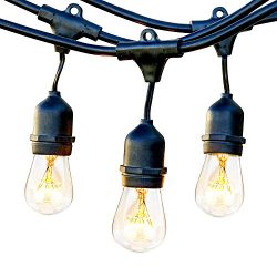 Brightech Ambience Pro Commercial Grade Outdoor Light Strand with Hanging Sockets – 24 Ft  ...