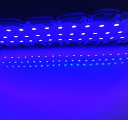 SMD 5050 20pcs 3 LED Blue Light Led Modules DC12V Waterproof for Advertisement Design, LED Box B ...