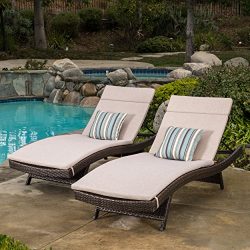 Christopher Knight Home 296395 Salem Outdoor Chaise Lounge