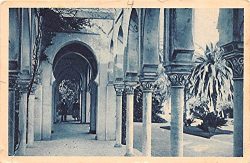 Sous la Pergola Aler Algeria, Alger, Algerie Postcard