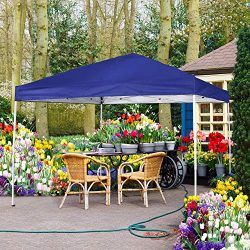 FurniTure Canopy Outdoor Canopy Tent 10′ x 10′ Easy Set Up with Hand Bag Pop Up Cano ...