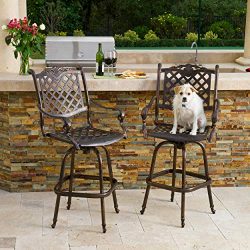 Christopher Knight Home Pomelo Outdoor Cast Aluminum Bar Stools (Set of 2)