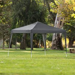 Best Choice Products Outdoor Portable Adjustable Instant Pop Up Gazebo Canopy Tent w/Carrying Ba ...