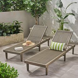 Christopher Knight Home Nadine Outdoor Adjustable Wood Chaise Lounge (Set of 2) by Grey
